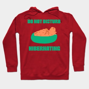 Do not disturb, hibernating Hoodie